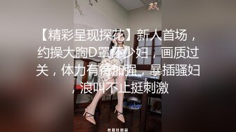 【精彩呈现探花】新人首场，约操大胸D罩杯少妇，画质过关，体力有待加强，暴插骚妇，浪叫不止挺刺激