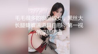 毛毛很多的极品欲女，黑丝大长腿蝴蝶逼道具自慰，第一视角深插阴道