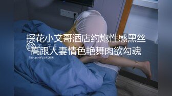 探花小文哥酒店约炮性感黑丝高跟人妻情色艳舞肉欲勾魂