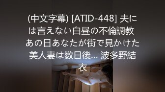 (中文字幕) [ATID-448] 夫には言えない白昼の不倫調教 あの日あなたが街で見かけた美人妻は数日後… 波多野結衣