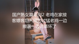 国产熟女篇系列2 老鸡在家接客嫖客后入用力过猛老鸡一边擦逼一边说草坏了