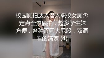 商场女厕蹲守偷窥红毛衣高跟鞋戴着长长耳坠的少妇的大肥B