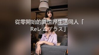 從零開始的異世界生活同人「Reレムプラス」