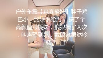 户外车震【森森撩妹】胖子鸡巴小，约妹很给力， 搞了个高颜值眼镜妹，狠狠操了两次，叫声骚到死，戴眼镜果然够骚！