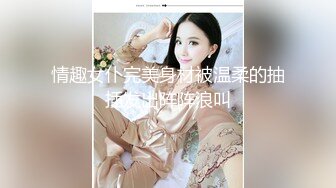 情趣女仆完美身材被温柔的抽插发出阵阵浪叫