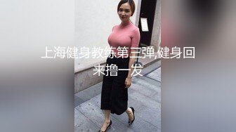 (中文字幕)エグい程の肉感AV 乳・尻・結合が目前に迫る特殊映像＆徹底ローアングル 美竹すず