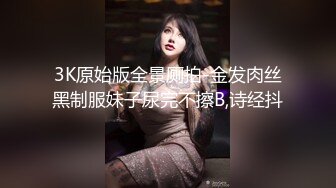 3K原始版全景厕拍-金发肉丝黑制服妹子尿完不擦B,诗经抖