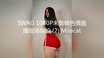 SWAG 1080P未剪辑色情直播现场侧拍 (2) Minicat