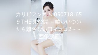 カリビアンコム 050718-659 THE 未公開 ～喰らいついたら離さない口マンコ2～ - 西条沙羅