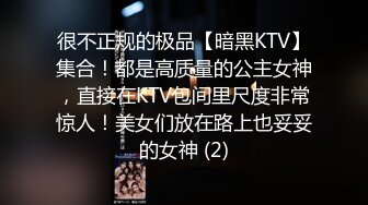 很不正规的极品【暗黑KTV】集合！都是高质量的公主女神，直接在KTV包间里尺度非常惊人！美女们放在路上也妥妥的女神 (2)