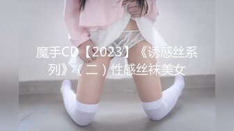 魔手CD【2023】《诱惑丝系列》（二）性感丝袜美女