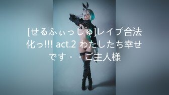 [せるふぃっしゅ]レイプ合法化っ!!! act.2 わたしたち幸せです・・ご主人様