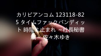 カリビアンコム 123118-825 タイムファックバンディット 時間よ止まれ ～社長秘書編～ 佐々木ゆき