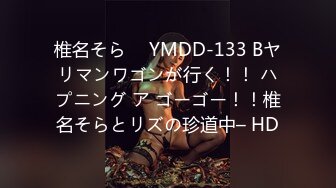 椎名そら ⨯ YMDD-133 Bヤリマンワゴンが行く！！ ハプニング ア ゴーゴー！！椎名そらとリズの珍道中– HD