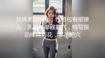 丝袜美腿靓女，性感包臀裙撩人，乳夹按摩器震穴，特写振动棒捅菊花，多毛肥穴