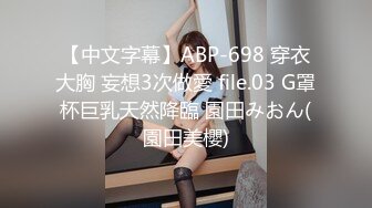 【中文字幕】ABP-698 穿衣大胸 妄想3次做愛 file.03 G罩杯巨乳天然降臨 園田みおん(園田美櫻)