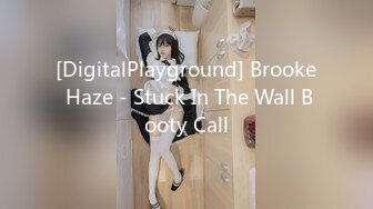 [DigitalPlayground] Brooke Haze - Stuck In The Wall Booty Call