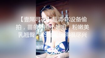 【壹屌寻花】超清4K设备偷拍，苗条外围小姐姐，粉嫩美乳翘臀，69啪啪玩得很尽兴