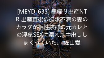 [MEYD-633] 里帰り出産NTR 出産直後の欲求不満の妻のカラダが相性抜群の元カレとの浮気SEXに溺れ、中出ししまくっていた。 佐山愛