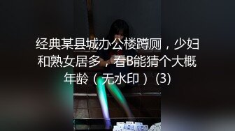 经典某县城办公楼蹲厕，少妇和熟女居多，看B能猜个大概年龄（无水印） (3)