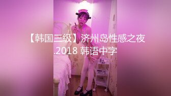 【韩国三级】济州岛性感之夜.2018 韩语中字