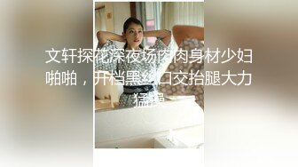 文轩探花深夜场肉肉身材少妇啪啪，开档黑丝口交抬腿大力猛操