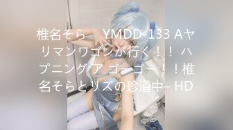 椎名そら ⨯ YMDD-133 Aヤリマンワゴンが行く！！ ハプニング ア ゴーゴー！！椎名そらとリズの珍道中– HD