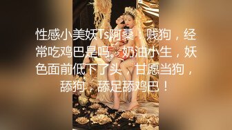 性感小美妖Ts阿桑：贱狗，经常吃鸡巴是吗。奶油小生，妖色面前低下了头，甘愿当狗，舔狗，舔足舔鸡巴！