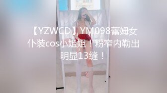 【YZWCD】YM098蕾姆女仆装cos小姐姐！粉窄内勒出明显13缝！