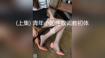 (上集) 青年小姫性奴调教初体验