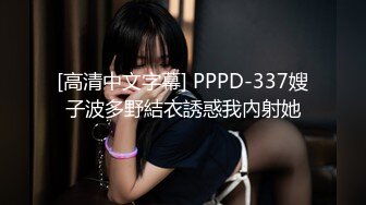 [高清中文字幕] PPPD-337嫂子波多野結衣誘惑我內射她