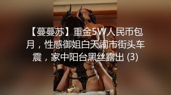 【蔓蔓苏】重金5W人民币包月，性感御姐白天闹市街头车震，家中阳台黑丝露出 (3)