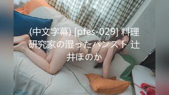 (中文字幕) [pfes-029] 料理研究家の湿ったパンスト 辻井ほのか