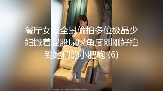 餐厅女厕全景偷拍多位极品少妇撅着屁股尿尿角度刚刚好拍到她们的小肥鲍 (6)