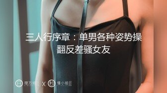 三人行序章：单男各种姿势操翻反差骚女友