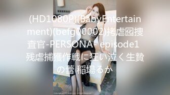 (HD1080P)(BabyEntertainment)(befg00002)拷虐囮捜査官-PERSONA- episode1 残虐捕獲作戦に狂い泣く生贄の蕾 稲場るか