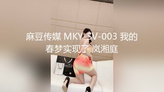 麻豆传媒 MKY-SV-003 我的春梦实现了 岚湘庭