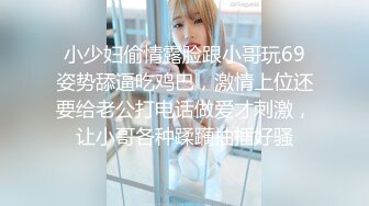 小少妇偷情露脸跟小哥玩69姿势舔逼吃鸡巴，激情上位还要给老公打电话做爱才刺激，让小哥各种蹂躏抽插好骚