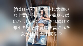 [fsdss-477] 残業中に大嫌いな上司から週5で粘着おっぱいハラスメントをされ続けて即イキ敏感体質に改善された女子社員 五十嵐なつ