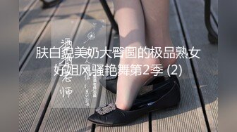 肤白貌美奶大臀圆的极品熟女好姐风骚艳舞第2季 (2)