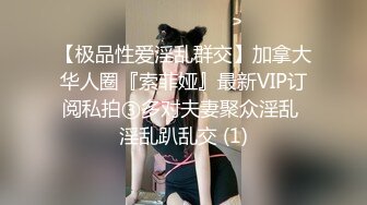 【极品性爱淫乱群交】加拿大华人圈『索菲娅』最新VIP订阅私拍③多对夫妻聚众淫乱 淫乱趴乱交 (1)