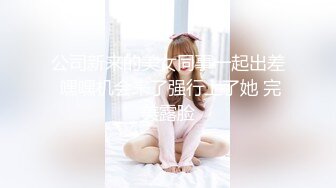 公司新来的美女同事一起出差 嘿嘿机会来了强行上了她 完美露脸