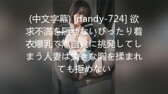 (中文字幕) [dandy-724] 欲求不満を隠せないぴったり着衣爆乳で無自覚に挑発してしまう人妻は大きな胸を揉まれても拒めない