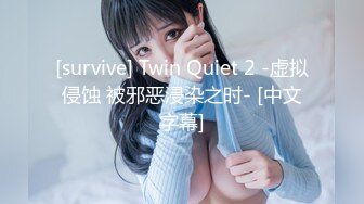 [survive] Twin Quiet 2 -虚拟侵蚀 被邪恶浸染之时- [中文字幕]