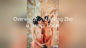 Overwatch -  Mei-Ling Zhou &amp; Tracer