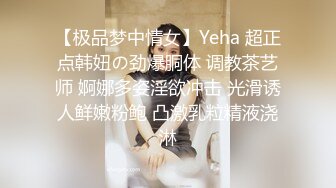 【极品梦中情女】Yeha 超正点韩妞の劲爆胴体 调教茶艺师 婀娜多姿淫欲冲击 光滑诱人鲜嫩粉鲍 凸激乳粒精液浇淋