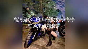 高清无水印和单位财务小梅停车场来点刺激的