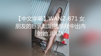 【中文字幕】WANZ-871 女朋友的巨乳姐姐誘惑我中出內射她 JULIA