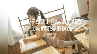 【飞机杯盲测】Gay版无间道,卧底与罪犯爱恨情仇